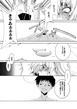 Page 19 of Bitch na Shimai ga Otouto no Niku Dorei ni Ochiru Made 02