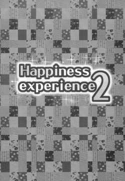 Page 3 of Happiness experience 2