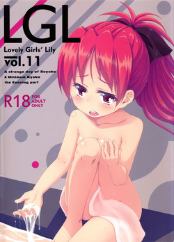 (C87) [Fukazume Kizoku (Amaro Tamaro)] Lovely Girls' Lily Vol. 11 (Puella Magi Madoka Magica)