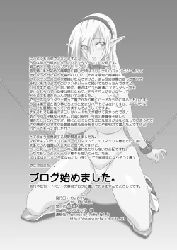 Page 33 of Dorei Kishi Stia I