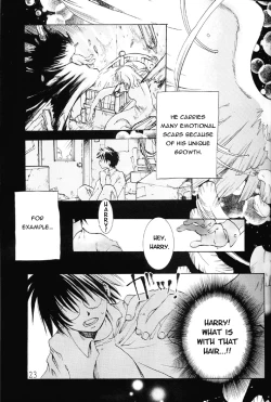 Page 20 of Harry to Himitsu no Kaenp1