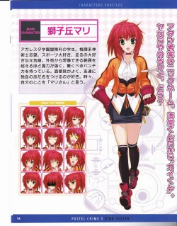 Page 38 of Pastel Chime 3 Guide Book + Extras