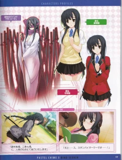 Page 41 of Pastel Chime 3 Guide Book + Extras