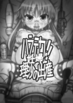 Page 2 of Haradeka!! Ninpu Risa no Shussan