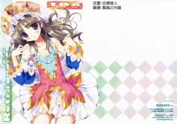 Page 3 of retrieve #10