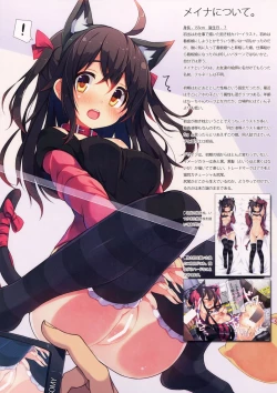 Page 11 of CxMxK NOTE V