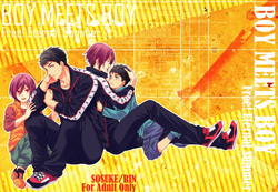 Download BOY MEETS BOY