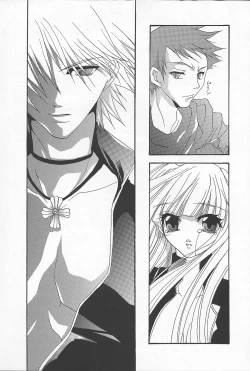 Page 17 of DIAMOND REPLICA