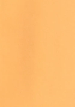 Page 4 of Kaminari no Chihare