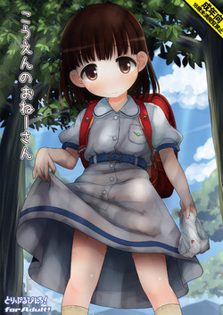 Download Kouen no Oneesan