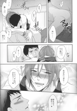 Page 13 of TANETUKE SR