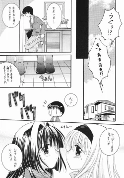 Page 8 of Chibinayu