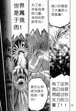 Page 18 of Submission Sailormoon