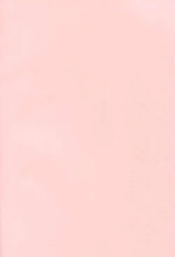 Page 2 of Brilliant Bitch Hime no Yuuutsu