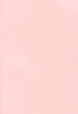 Page 3 of Brilliant Bicchihime's Melancholy