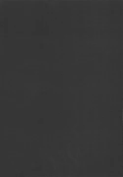 Page 4 of Yoroshiku Onegai Shimasu.