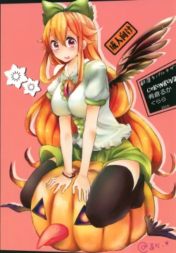 Page 24 of Shameimaru drop