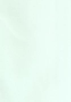 Page 2 of PL/RAY END