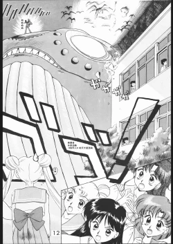 Page 11 of SUBMISSION MARS