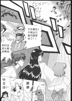 Page 12 of SUBMISSION MARS