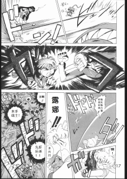 Page 16 of SUBMISSION MARS