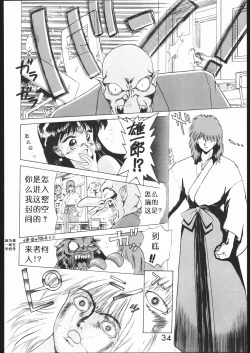 Page 33 of SUBMISSION MARS