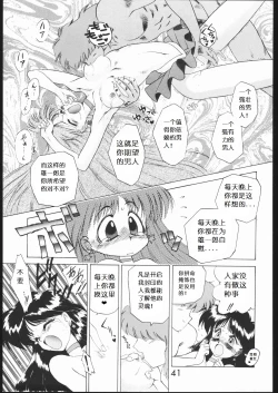 Page 40 of SUBMISSION MARS