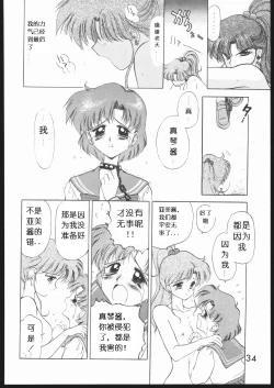 Page 36 of Submission Jupiter Plus