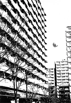 Page 79 of Comic Marble Vol.9