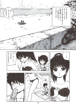 Page 22 of Himawarikko Nikki