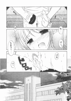 Page 16 of my fair lady's