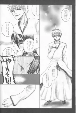 Page 38 of Rukia Kuchiki Minimum Maniax File