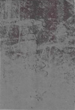 Page 14 of MOVE ROGUE