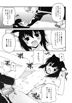 Page 17 of COMIC RiN 2009-01