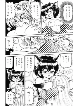 Page 27 of Card Captor Sakura + Zoukyou Kaiteiban