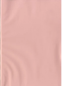 Page 4 of GyanFumi Try