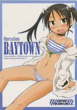 Download Operation BAYTOWN