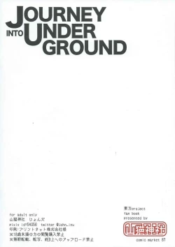 Page 16 of Journey Into Underground