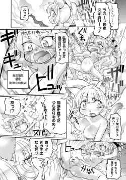 Page 27 of Ishu Kakuchou Kenbunroku