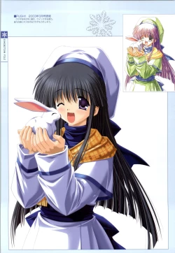 Page 19 of SNOW ART WORKS