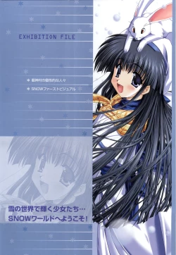 Page 4 of SNOW ART WORKS