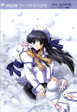 Page 7 of SNOW ART WORKS