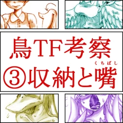 Page 11 of Tori TF ni Kansuru Kousatsu to Renshuu