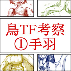 [Koganemushi] Tori TF ni Kansuru Kousatsu to Renshuu