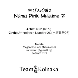 Page 27 of Nama Pink Musume 2