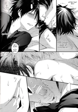 Page 13 of IZAYA vs
