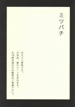 Page 2 of Mitsubachi
