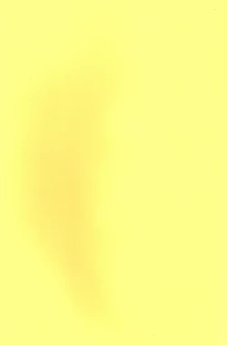 Page 23 of Fushimi-san ga Futari ni Natte Misaki wo Semeru Hon