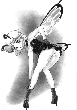 Page 245 of Bondage Fairies Zannin Shimai