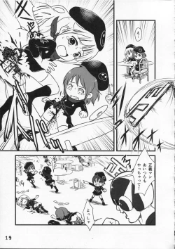 Page 19 of Tsurupeta Kenkyuu Houkokusho 009